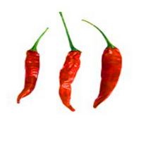 China Delight Unit Dried Red Chilli Peppers 4-7cm Weight 25kg/Bag Stemless on sale