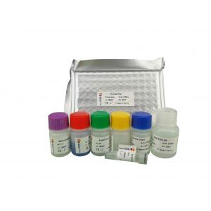 China 96 Wells 48 Wells Mouse Strong Specificity Cathelicidin Antimicrobial Peptide ELISA Kit supplier