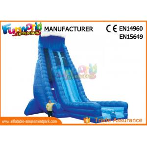 China Durable 30ft Tall Outdoor Inflatable Water Slides With Digital Printing supplier