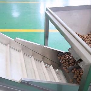 380V 8 Exits Pecan Nuts Sorting Machine CE Approved 2 Tons Capacity