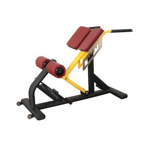 China Pro Commercial Gym Rack And Fitness Equipment Roman Ab Exercise Chair supplier