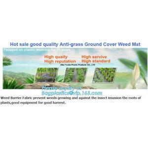 China prevent insects,tree planting,agriculture protection Plastic weed barrier,weed matt Bio-degradable Agricultural PP Weed supplier