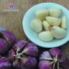 China Garlic splitting machine minced garlic processing production Line wholesale