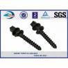 ISO SGS inspected Q235 35# 45# Railway Sleeper Spikes Black Oxide Screws