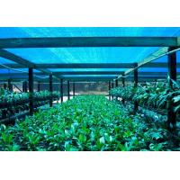 China Greenhouse Shade Net ，Agricultural Shade Cloth For Flower Farm on sale