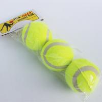 China Pet Toys Tennis Micro Elastic Secondary Ball Dog Throwing Interactive Dog Training Ball Hard Rubber Dog Ball on sale