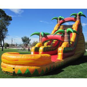 Multicolor Amusement Pool Full Printing Inflatable Water Slide