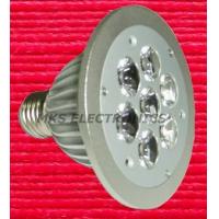 LED Bulb (PAR30-E27-7W)
