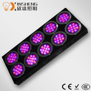 China High Power 360W 550mA Dimable Professional LED Grow Light With10 Modules for Hydroponics supplier