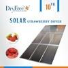 Professional Strawberry Solar Tray Dryer