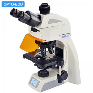 China El infinito OPTO Trinocular binocular de EDU A16.1062 llevó el microscopio fluorescente BG supplier