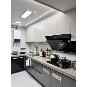 China Wholesale Custom Panel Lacquer High Gloss Pet Design Modern Kitchen Cabinet wholesale