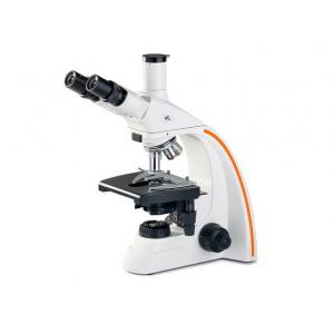 Wide Field Eyepieces Biological Microscope Infinity Plan Achromatic Objectives