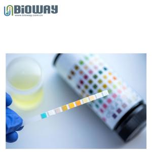 Bioway Urinalysis  Strips, 10,11,12,14 Parameters  Reagent Test Strip, Urine strip for semi automatic urine analyzer