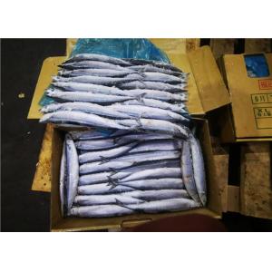 China High Protein Frozen Pacific Saury supplier