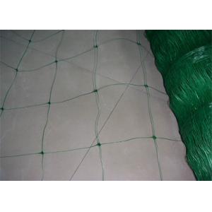 Extrusion Type Plant Support Net Used For Vines Vegetable Crops 24x24cm Mesh Size