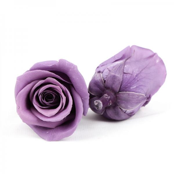 Home Decor Artificial 5-6cm Preserved Rose Heads