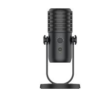 China Professional USB Condenser Microphone Fast Mute Recording Studio Microphone on sale