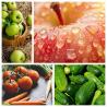 China Máquina de lavado y procesamiento de frutas totalmente automática con opciones personalizadas wholesale