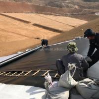 China Outdoor Plastic Water Dam Reinforced Polyethylene Pond Liner Geomembrane Hdpe Liner Roll on sale