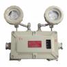 China Zone 1/Zone 2 Explosion Proof Emergency Lighting | Waterproof & Fireproof LED Wall/Ceiling Fixture for Critical Areas wholesale