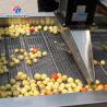 China Año 2025 Línea de procesamiento de frutas y verduras de plata para procesamiento wholesale