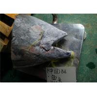 China Under 18 Degree Sea Fresh Yellow Fin Tuna Fish Head on sale