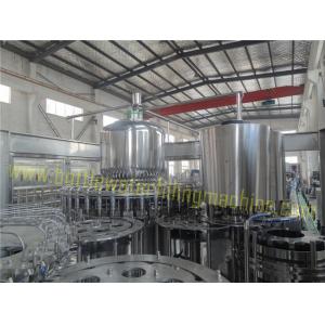 Grapefruit Juice Filling Machine / Industrial Bottling Equipment CE SGS
