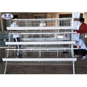 4 Tiers Chicken Layer Cage 4 Cells 128 Birds For Zambia Less Waste Water