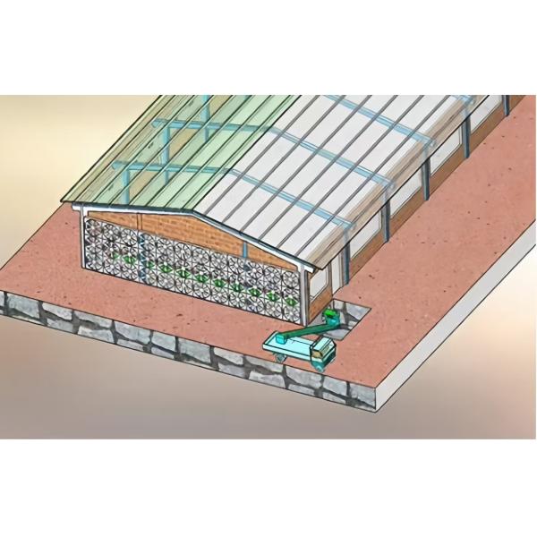 Équipement de poulailler en acier facile à installer avec système d'alimentation automatique