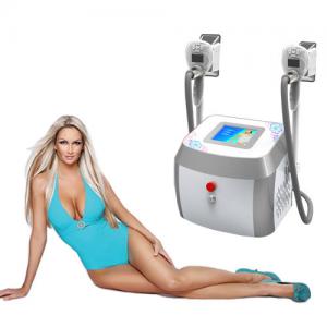 China Zeltiq 0.5-10s Pulse Cryolipolysis Slimming Machine For Fat Reduction supplier