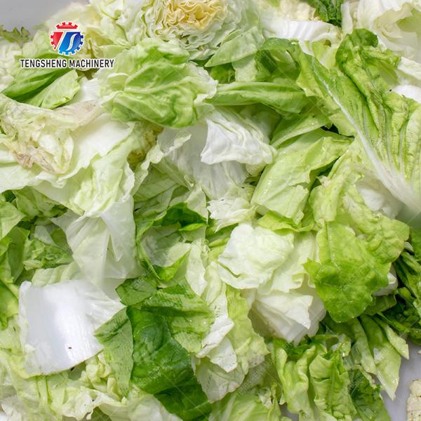 Coupe-légumes à feuilles extra-large pour légumes-feuilles Variétés de chou Papaye Chieh-qua Courge cireuse Gingembre Pomme de terre Carotte Radis Verdure Laitue Cao Xin Chou chinois Chou chinois Chou