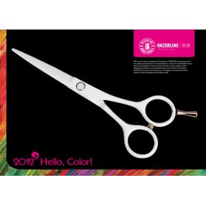 China White Teflon Coating Convex-edge Stainless Steel Professional Hairdressing Scissors supplier