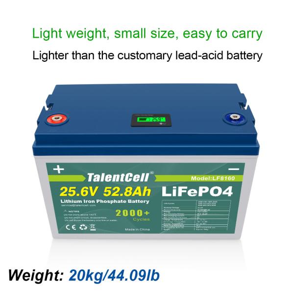 Stable 100A Waterproof Lifepo4 Battery , Practical Lithium Ion Iron Phosphate