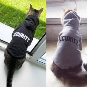 China Eco Friendly Cute Cat Hoodie , Warm Pet Costumes For Small Dogs supplier