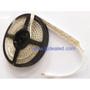 China Waterproof flexible LED strip SMD3528 drip PU glue,double line flexible LED strip IP65 supplier