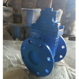 Customized Ductile Cast Iron Gate Valve With Rubber Seat Parallel Slide for Water Media