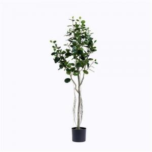 Plastic Ficus Microcarpa Tree