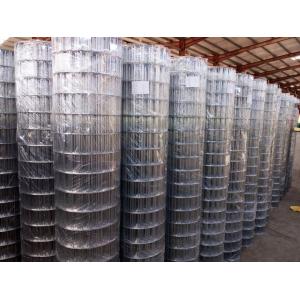 China Malla de alambre soldada con autógena galvanizada sumergida caliente 50×100m m para cercar con resistencia del moho de Stong supplier