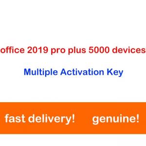 China 500 PCs Office 2019 License Key Lifetime Professional  Activation Code supplier
