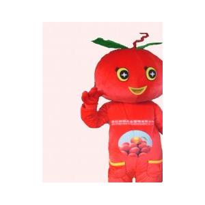 China handmade tomatoes mascot cartoon costumes for kids and adults wholesale