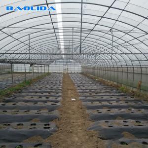 China Vegetables Seeds Plastic Film Greenhouse Ventilated Multi Span Sheet Covering supplier
