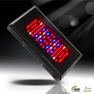 China New Energy Saving Greenhouse RCG80*3W/630mA LED Grow Plant Light for Sale  supplier