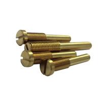 China M6 x 25 Furniture joint Connector Nuts 304 Stainless Steel bolts and barrel nuts on sale