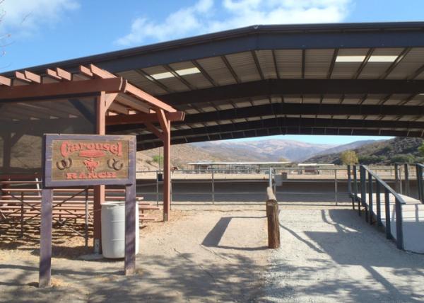 Long Span Horse Shed Steel Structure Construction For New Zealand Waikato