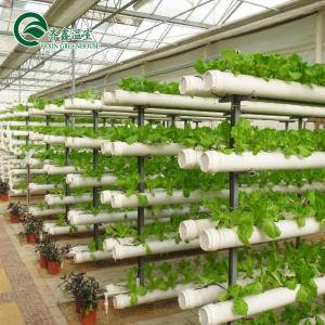 China Complete Hydroponic Grow Tent for Indoor Growing of Vegetables Fruits Flowers and Tomatoes supplier