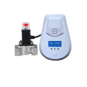 110V 220V AC Carbon Monoxide Detector Smoke Detector Combined Easy Installation