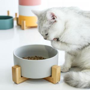 China Unique Colorful 15.5*7cm Cat Ceramic Bowl Pet Food Feeder supplier