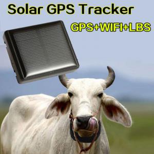 China Mini Solar Animal Gps Tracker , Real Time Animal Tracking Device For Cattle Horse Camel supplier