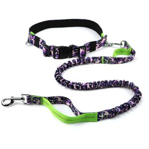 Hands Free Dog Collars And Leashes / Unique Dog Leashes Customized Size